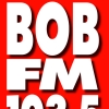 bob logo